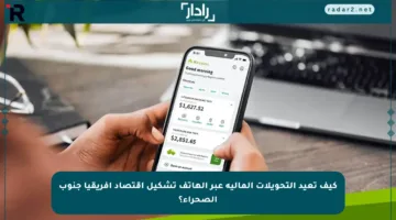 كيف تعيد التحويلات المالية عبر الهاتف تشكيل اقتصاد أفريقيا جنوب الصحراء؟